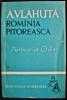 Romania Pitoreasca - A. Vlahuta, Editura Tineretului, 1963, Biblioteca Scolarului, Roman