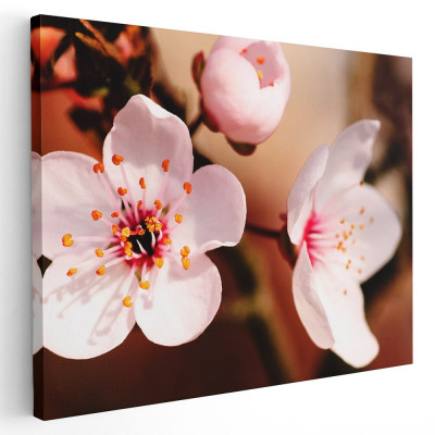 Tablou flori de copac inflorit primavara Tablou canvas pe panza CU RAMA 80x120 cm foto