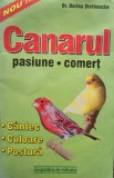 Dorina Stefanache - Canarul