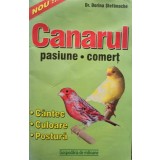 Dorina Stefanache - Canarul