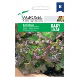 Seminte legume Agrosel, salata Lollo Rossa