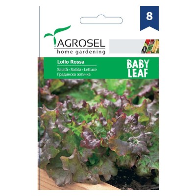Seminte legume Agrosel, salata Lollo Rossa foto