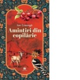 Amintiri din copilarie - Ion Creanga