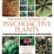 The Encyclopedia of Psychoactive Plants: Ethnopharmacology and Its Applications