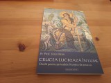 PR.PROF. JOHN BEHR, CRUCEA LUCREAZA IN LUME. OMILII PENTRU PERIOADELE LITURGICE( TRIODUL-PASTELE-CINCIZECIMEA; NASTEREA-BOTEZUL; LA MAICA DOMNULUI)