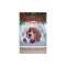 A Shiloh Christmas