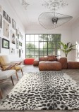 Covor Belgian, Ecuador 60638, Crem/Gri, Diverse Dimensiuni - 80x150 cm