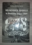 Andrea Kurko Fabian&nbsp;-&nbsp;Delincventa juvenila in Romania dupa 1989