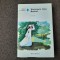 Daphne du Maurier - Verisoara mea Rachel (coperti cartonate)