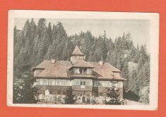 AMS @ - VEDERE/ ILUSTRATA CABANA DEIA - C&Icirc;MPULUNG-MOLDOVENESC, BUCOVINA, CIRCULATA, 1959