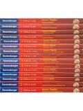 Fabian Lenk - Detectivii timpului, 15 volume (I-X-XV) (Editia: 2016)