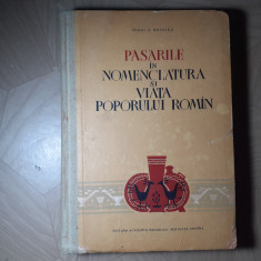 PASARILE IN NOMENCLATURA SI VIATA POPORULUI ROMÎN-MIHAI C.BĂCESCU-1961 R3.