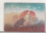 Bnk cld Calendar de buzunar - 1984 - URSS - desene animate - 3D