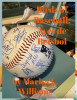 Birds of Baseball: Aves de Beisbol