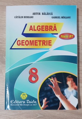 ALGEBRĂ GEOMETRIE - Artur Bălăucă, Cătălin Budeanu, Gabriel M&amp;icirc;rșanu foto