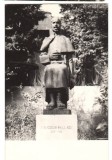 CPIB 16814 FOTOGRAFIE - STATUIA LUI THEODOR PALLADY, Necirculata