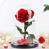Cumpara ieftin Trandafir Criogenat inima rosie &Oslash;9cm in cupola sticla 17x28cm