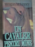 UN CAVALER PENTRU MINE-MEAGAN MCKINNEY-235711