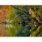 Sticker decorativ, Fereastra 3D, Padure, 85 cm, 312STK