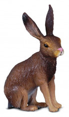 Iepure salbatic - Animal figurina foto