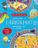 Cumpara ieftin Prima Mea Carte Cu Labirinturi, - Editura Flamingo