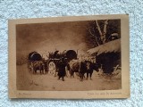 carte postala pictura Theodor Amann , Car cu boi in zapada