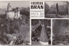 Bnk cp Castelul Bran - Vedere - necirculata, Printata, Brasov