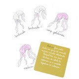 Lectii de zoologie:Nevertebrate. Lectii Montessori!2020