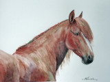Acuarela cal roib, neinramata, 40x30cm