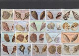 Fauna ,cochilii ,scoici , colonie Portugheza,Angola ., Nestampilat