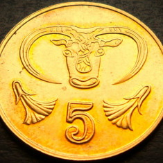 Moneda exotica 5 CENTI - CIPRU, anul 1994 * cod 3421 A