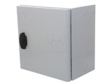 Carcasă montare pe perete SCHNEIDER ELECTRIC 300mm x 300mm x 200mm oţel IP66