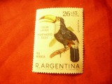 Timbru Argentina 1967 - Pasare - Tucan