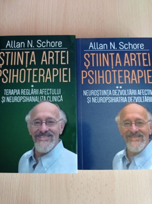 Allan N. Schore - Stiinta artei psihoterapiei (2 volume) foto