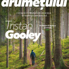 Ghidul drumețului - Paperback brosat - Tristan Gooley - Pilot books