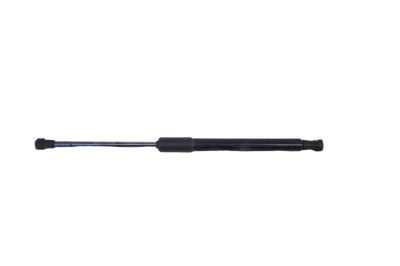Amortizor capota st&amp;acirc;nga față AUDI A4 8W2, B9 2018 OEM: 8W0823359B 15086552 foto