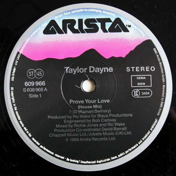 Taylor Dayne - Prove Your Love (House Mix) (Vinyl)
