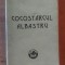 Cocostarcul albastru- M. Sadoveanu