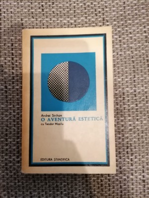 ANDREI STRIHAN - O AVENTURA ESTETICA CU TEODOR MAZILU foto