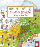 Cauta si gaseste - Anotimpurile - Casa
