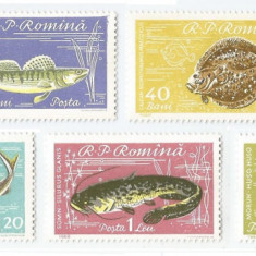 Romania, LP 510/1960, Piscicultura, eroare, MNH