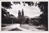 Craiova. Parcul Romanesc (scrisa 1944)