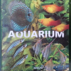 Aquarium (pesti acvariu, germana)