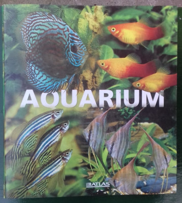 Aquarium (pesti acvariu, germana) foto