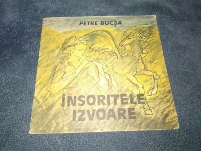 PETRE BUCSA - INSORITELE IZVOARE foto