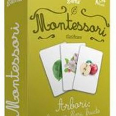 Montessori. Asocieri: Arbori: frunze, flori, fructe