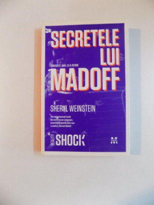 SECRETELE LUI MADOFF de SHERYL WEINSTEIN , 2010 foto