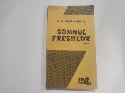 Somnul fresiilor de Elena Gronov-Marinescu foto