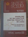 PROBLEME DE MATEMATICA PENTRU TREAPTA I DE LICEU. FUNCTIA POLINOMIALA DE GRADUL I SI II-ION MITRACHE, ION G-229035