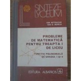 PROBLEME DE MATEMATICA PENTRU TREAPTA I DE LICEU. FUNCTIA POLINOMIALA DE GRADUL I SI II-ION MITRACHE, ION G-229035